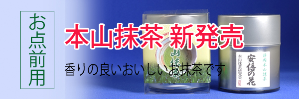 今年お勧めのとても香りの良い本山茶