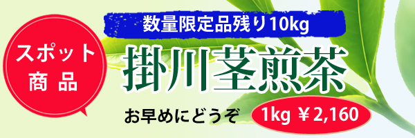 掛川茎棒茶