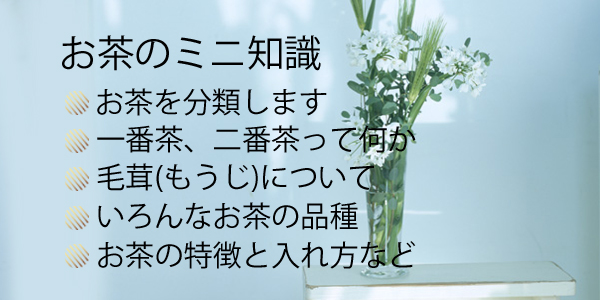 茶に関するいろんな事が分かります