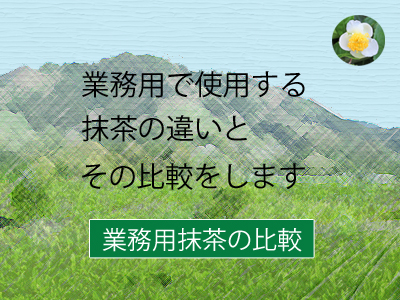 抹茶の詳細