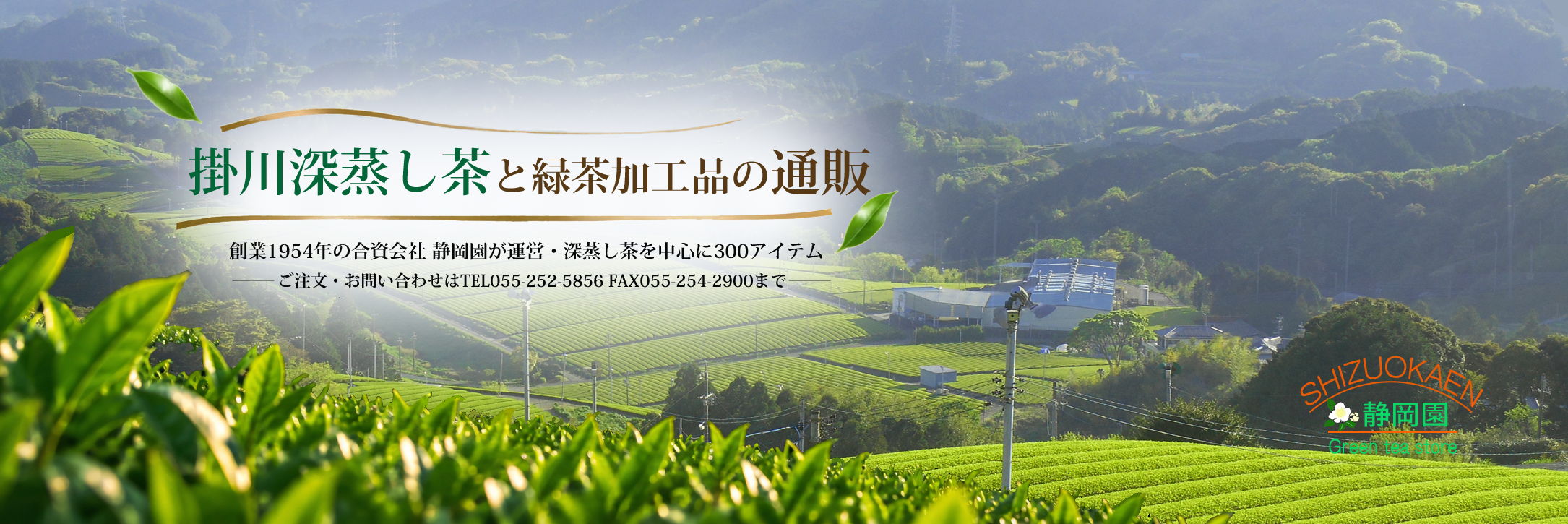美味しいお茶なら静岡茶通販