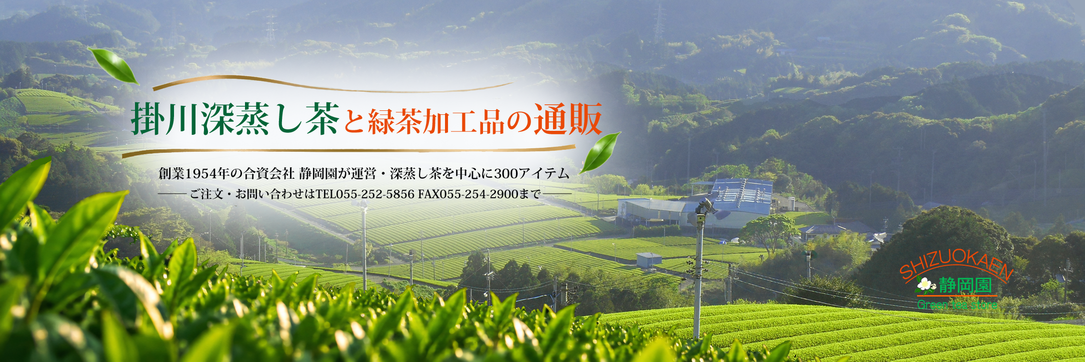 美味しいお茶なら静岡茶通販