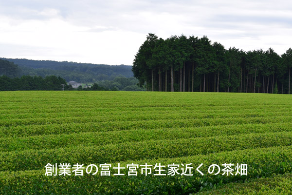 創業者の出身地の茶畑
