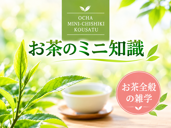お茶のミニ知識