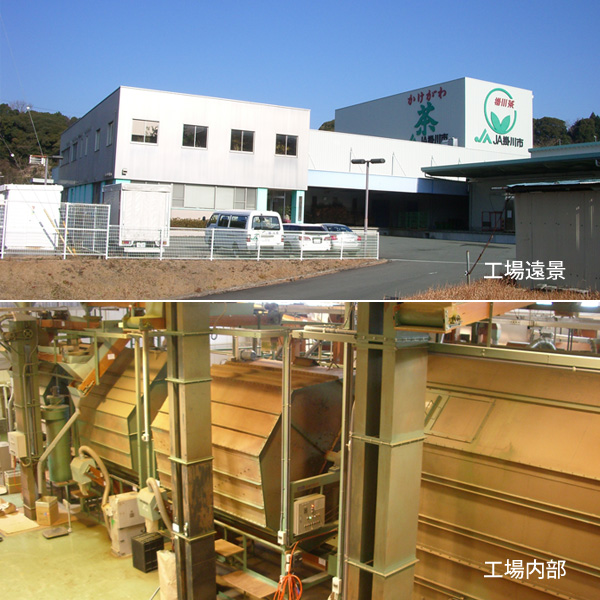 JA掛川緑茶加工工場