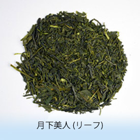 月下美人リーフ