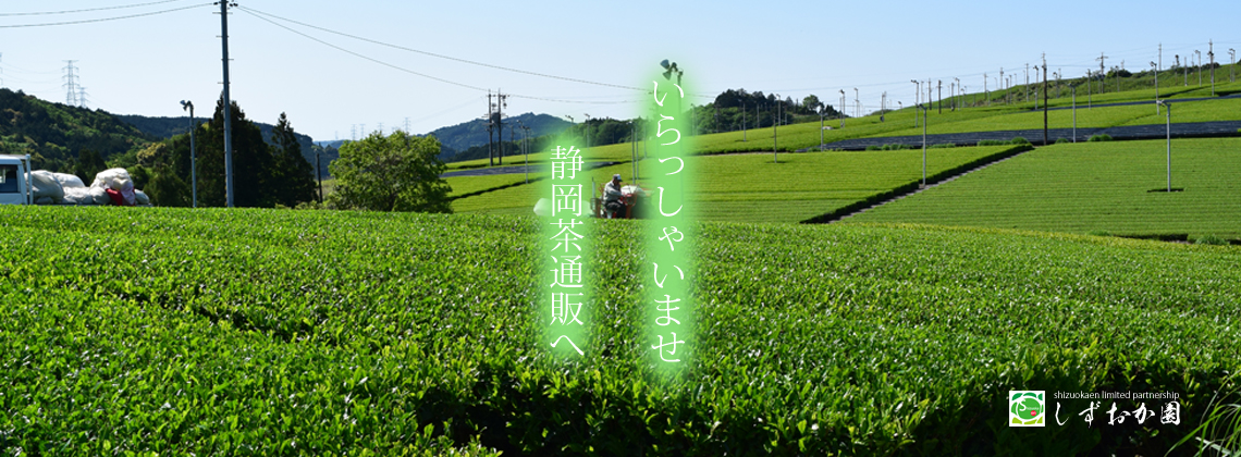 いらっしゃいませ掛川深蒸し茶の通販です。