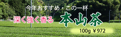今年お勧めのとても香りの良い本山茶