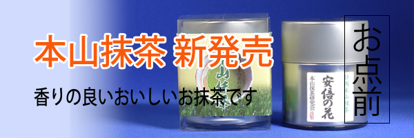 今年お勧めのとても香りの良い本山茶
