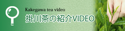 掛川茶の紹介ビデオです