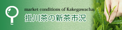掛川茶市場取引情報