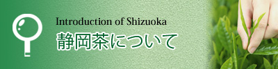 静岡茶について紹介しています