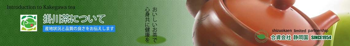 当店販売商品の掛川茶の紹介