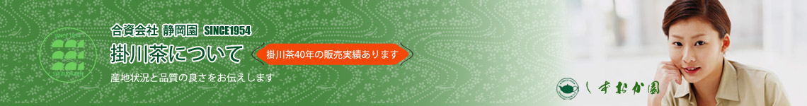 当店販売商品の掛川茶の紹介