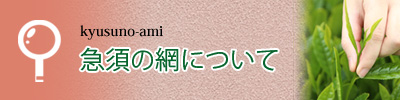 急須の網について紹介しています