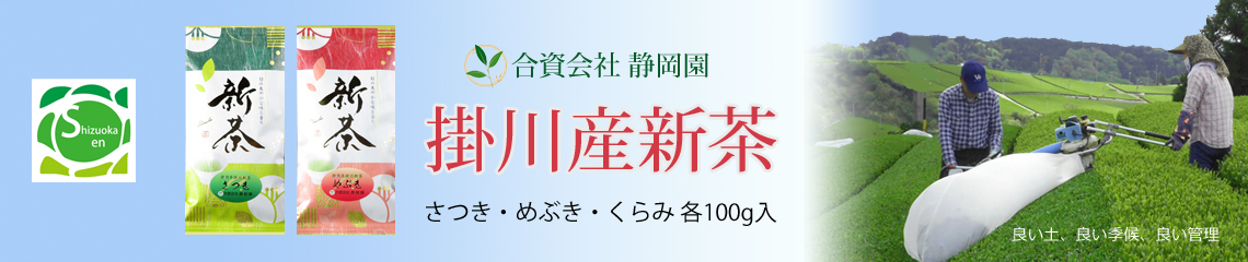 2024年度掛川産新茶