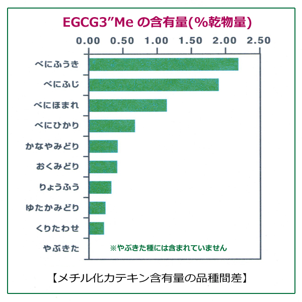 メチル化カテキン含有量の品種間差