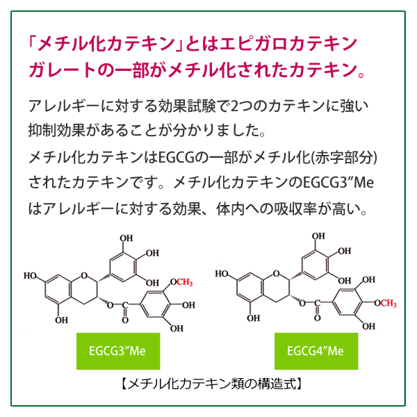 メチル化カテキンの構造式