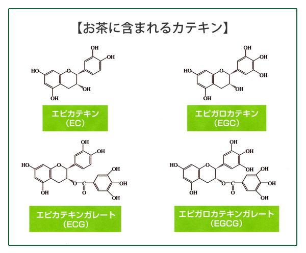 お湯で溶かしてうまい粉末緑茶