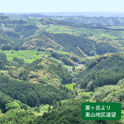 茶草場農法の東山