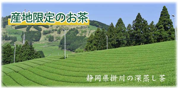 産地限定で掛川茶を主力に販売しています