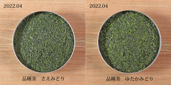 鹿児島新茶の茶葉