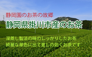 静岡園の仕入れ産地の静岡県掛川市