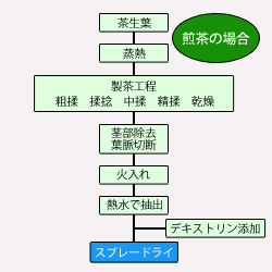 スプレードライにする前の煎茶工程