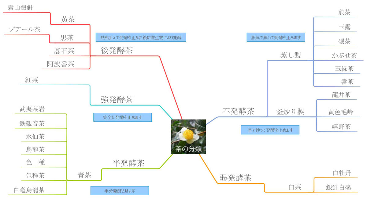 お茶分類図